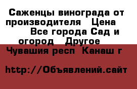 Саженцы винограда от производителя › Цена ­ 800 - Все города Сад и огород » Другое   . Чувашия респ.,Канаш г.